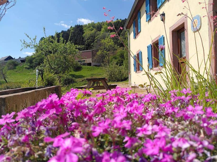 Appartement entier, Gite Fermette Francis à Lapoutroie in Lapoutroie, Parc naturel régional des Ballons des Vosges