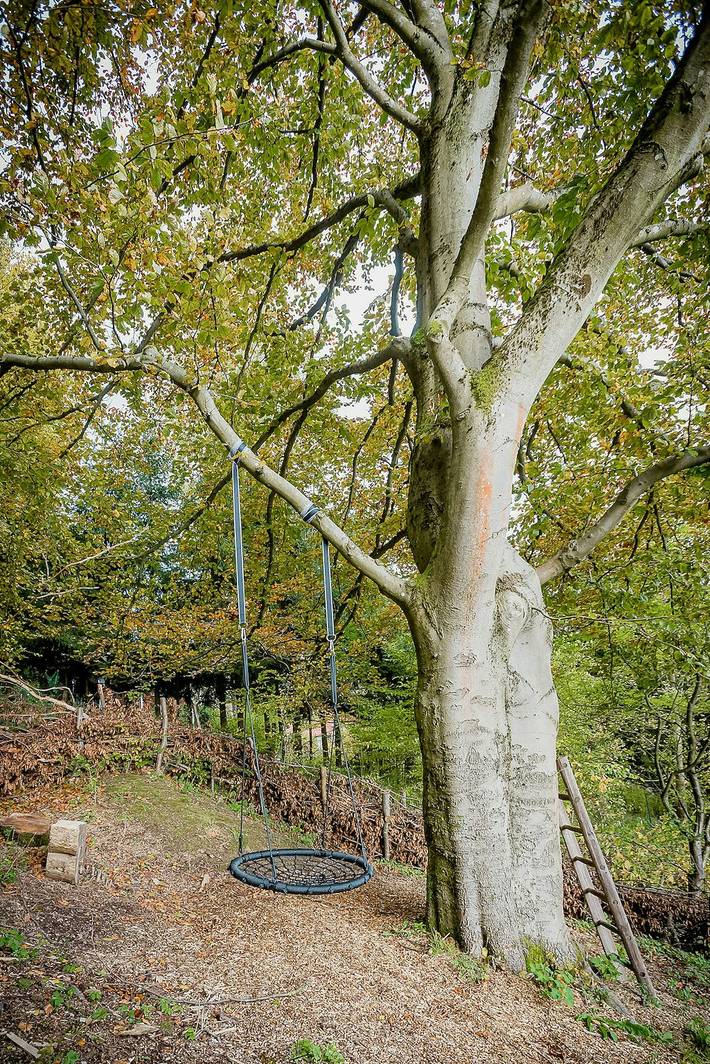 Chalet für 9 Personen, mit Garten und Sauna, kinderfreundlich im Thüringer Wald - 4