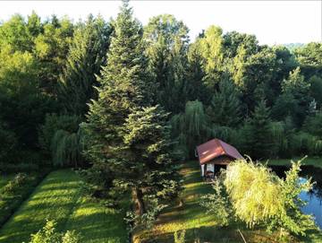 Ferienhaus für 6 Personen in Merzalben, Pfälzer Wald, Bild 4