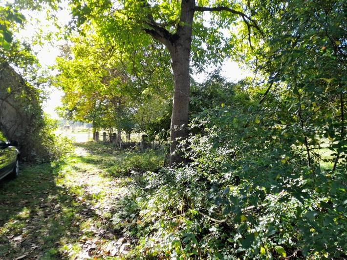 Ferienhaus für 4 Personen, mit Garten, kinderfreundlich in Fränkisches Seenland - 3