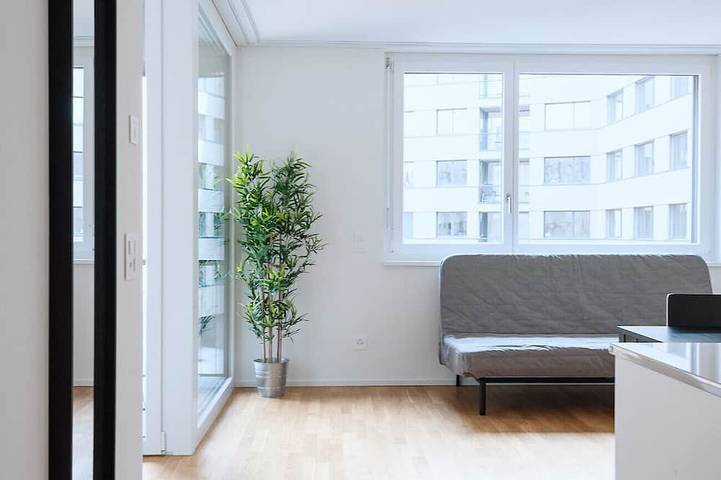 Apartamento entero, Bs Wolf Ii - Messe Hitrental Apartment in Basel Zustellkreis, Basilea