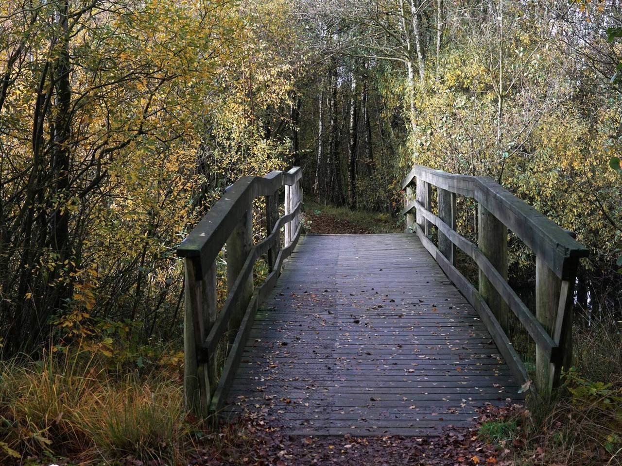 Luxurioses Seeruckzug-By Traum in Varde