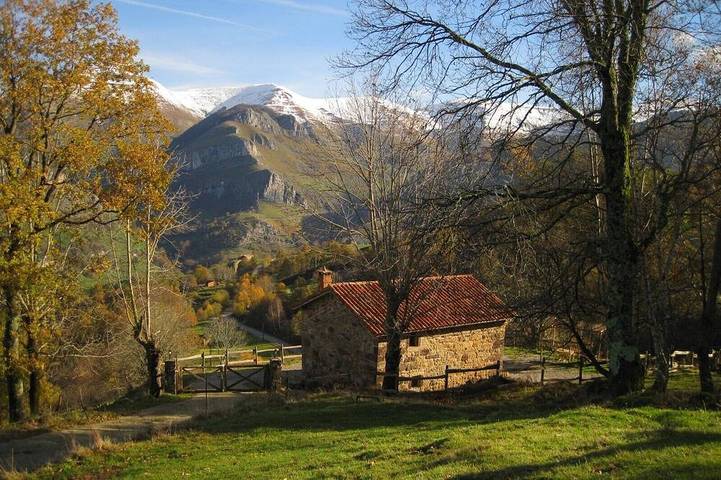 Blockhütte für 5 Personen, mit Terrasse und Garten, mit Haustier - 1