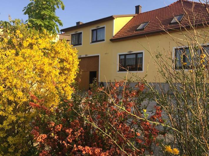 Ferienwohnung für 4 Personen, mit Haustier - 1