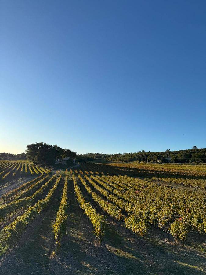 Gîte pour 4 personnes, avec vue ainsi que piscine et jardin à Cabasse - 3