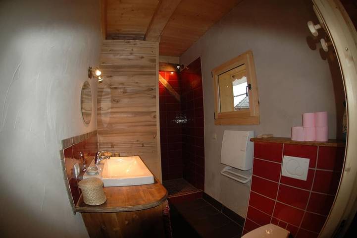 Apartment in a chalet of character with ski access in Montriond, Les Portes du Soleil