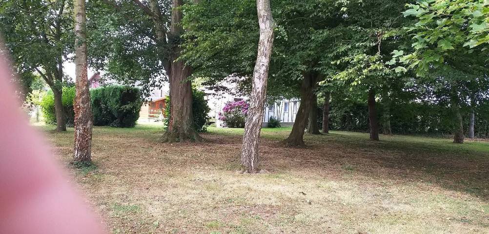 Chalet 'Bungalow Chouette' avec terrasse privée et jardin privé in Néville, Région de Dieppe