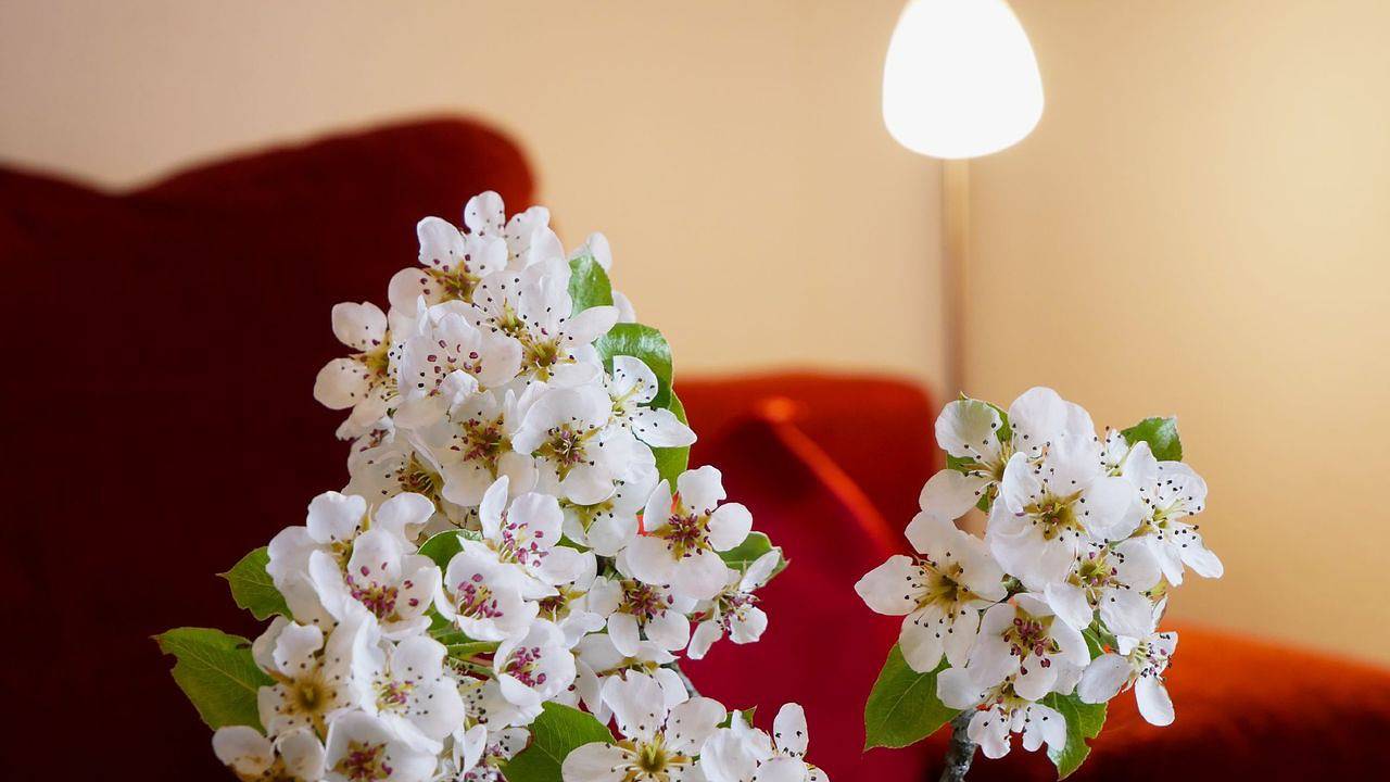 Ganze Ferienwohnung, Ferienwohnung für 5 Personen (65 m²) in Bad Peterstal-Griesbach in Bad Peterstal-Griesbach, Mittlerer Schwarzwald