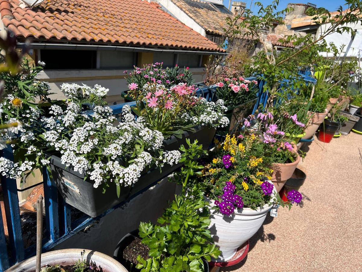 Loft Apartment , La Terrasse Centre Ville d'Arles, in Arles, Région d'Arles