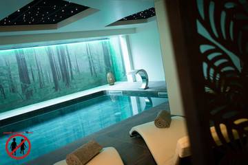 Hôtel pour 4 personnes, avec piscine et jardin ainsi que sauna et jacuzzi à Haguenau