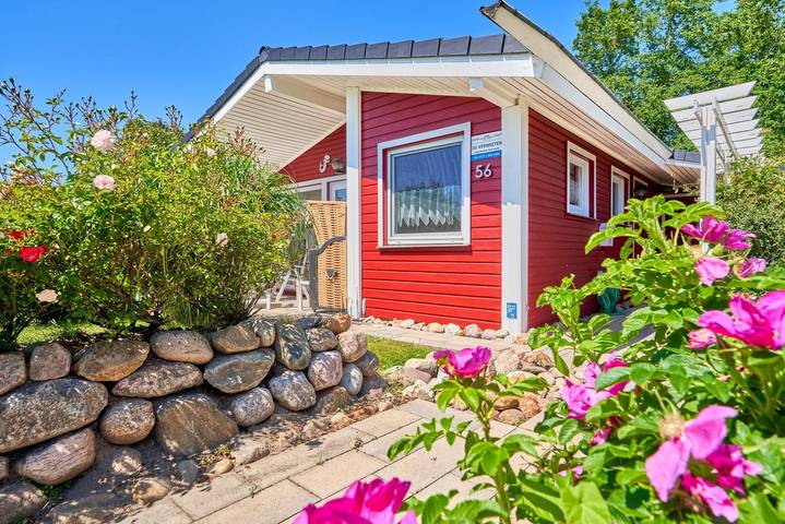 Ferienhaus für 4 Personen, mit Terrasse und Sauna sowie Garten, mit Haustier - 1