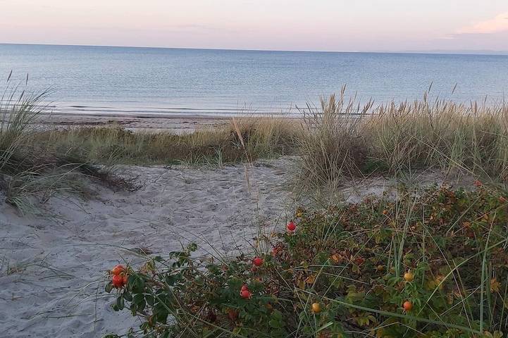 Ferienhaus für 14 Personen an der Kattegat Küste
