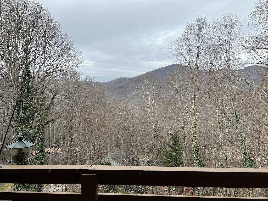 Bella Vita ~ 2 Pm Late Checkout ~ One-Level Cabin w/View ~ 10 Star ~Pets Welcome in Blue Ridge Parkway, Cataloochee Valley