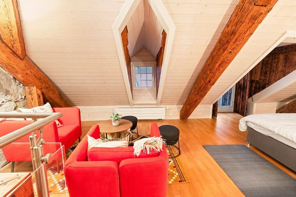 Entire apartment, Loft with view of Fribourg Cathedral in Fribourg, Canton of Fribourg
