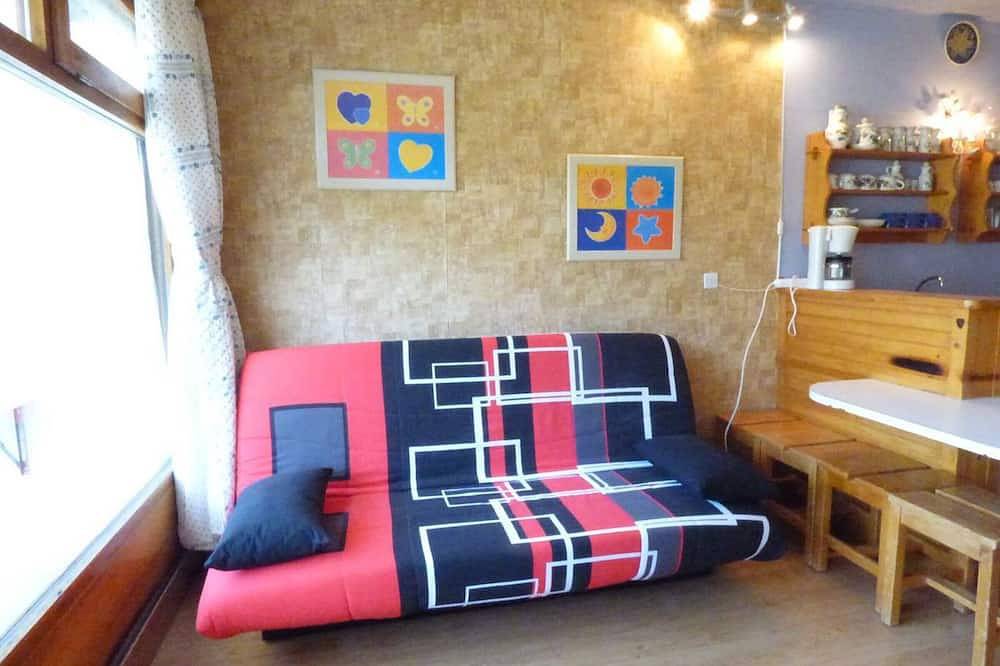 Appartement entier, Studio confortable pour 4 pers, accès direct galerie et pistes, ascenseur in La Pierre Saint-Martin, Arette