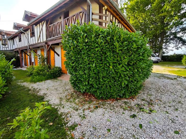 Location de vacances pour 6 personnes, avec vue sur le lac et jardin dans Lac du Der-Chantecoq