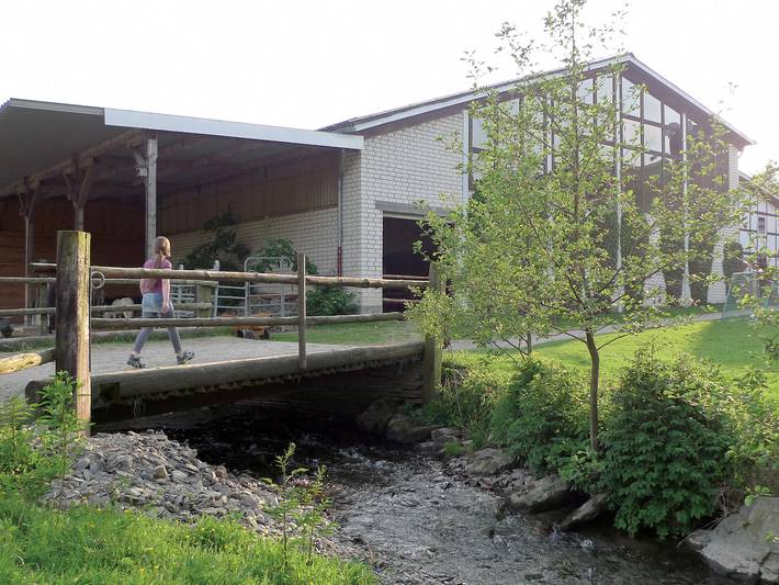 Ferienhaus für 5 Personen, mit Sauna und Garten sowie Pool, mit Haustier in Schmallenberg - 2