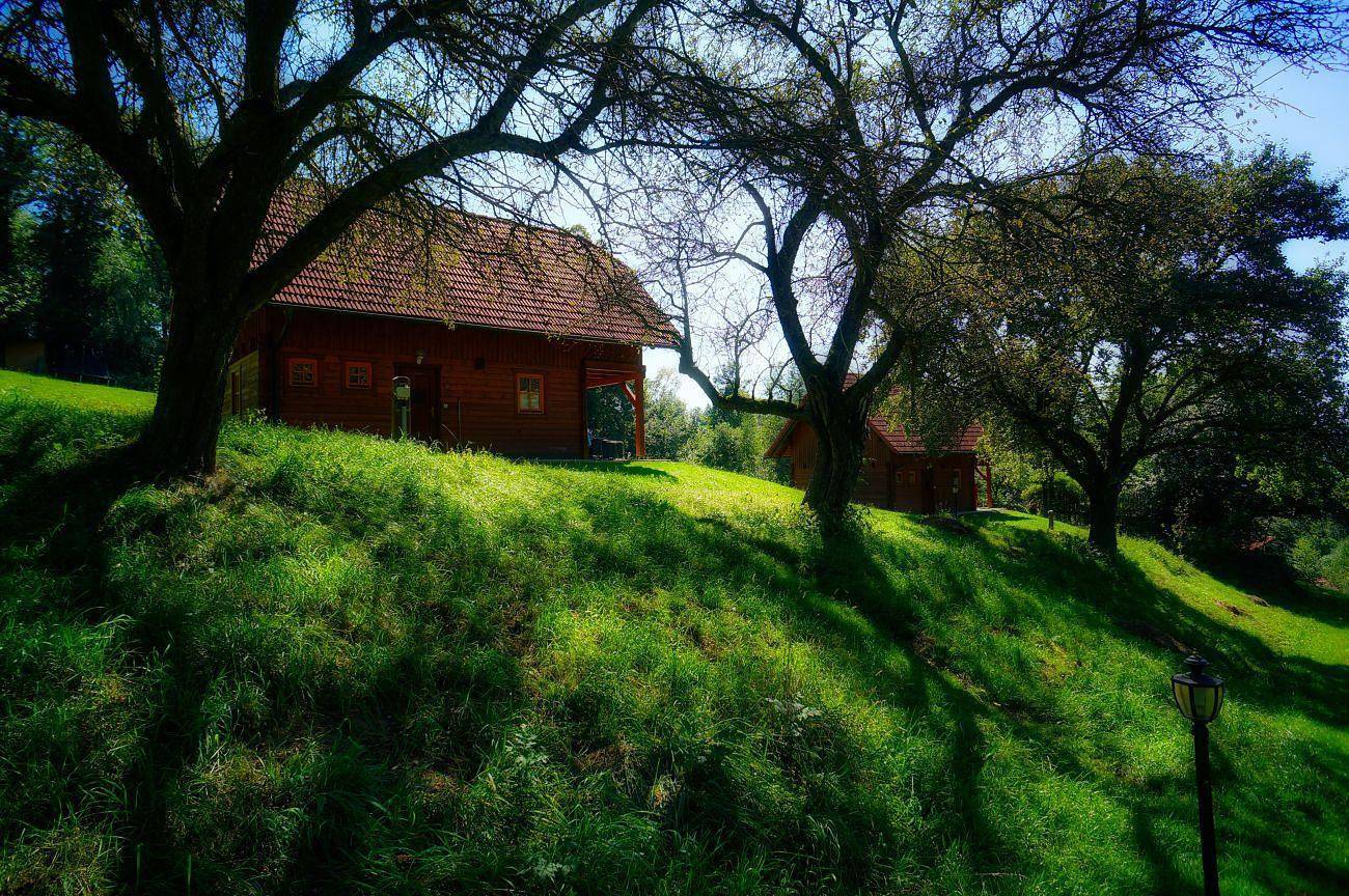 Blockhaus Apfel (ab 4 Nächte) in Sankt Lorenzen am Wechsel, Steirerland