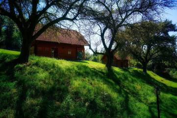Bauernhof für 8 Personen in Sankt Lorenzen am Wechsel, Steirerland, Bild 3