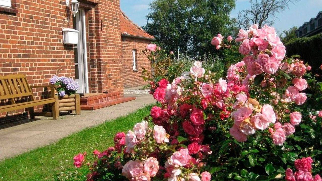 Ferienhaus für 6 Personen (100 m²) in Fehmarn in Strukkamp, Fehmarn