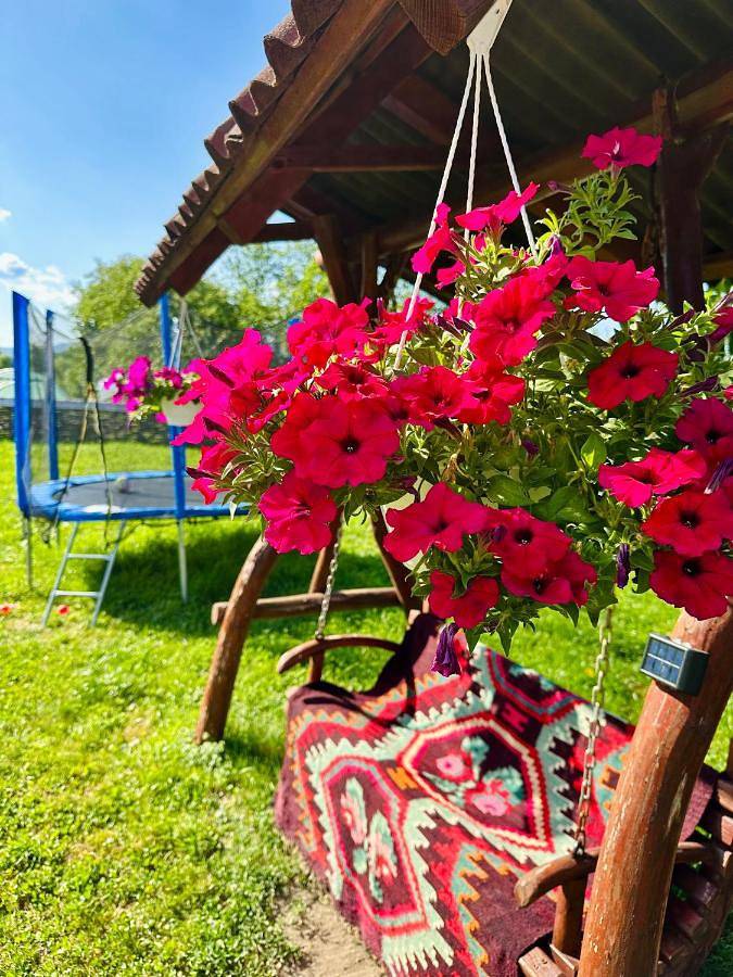 Gîte pour 2 personnes, avec jardin, animaux acceptés dans Breb - 3