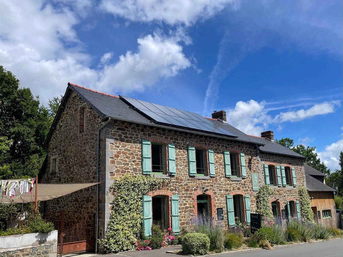 Fleurs de lin in Saint-Brieuc-des-Iffs, Région de Rennes
