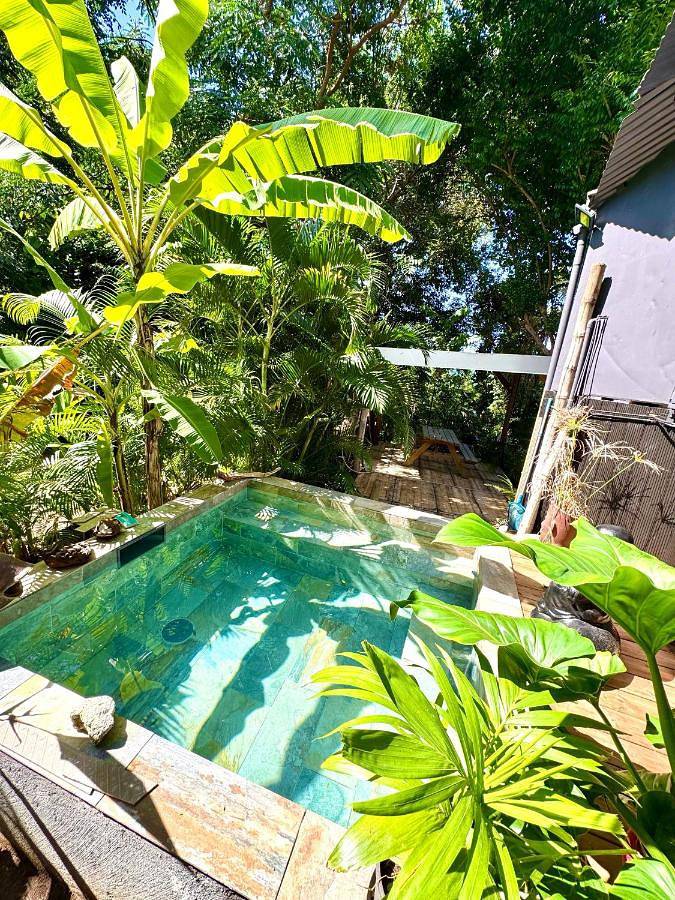 Location de vacances pour 3 personnes, avec piscine ainsi que vue et jardin à Le Carbet - 3