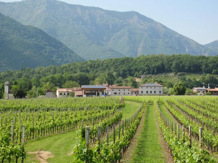 Alloggio in famiglia per 4 persone, con panorama e terrazza nonché giardino, con animali domestici - 1
