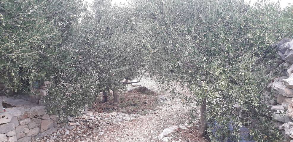 Ferienhaus für 5 Personen, mit Garten und Pool