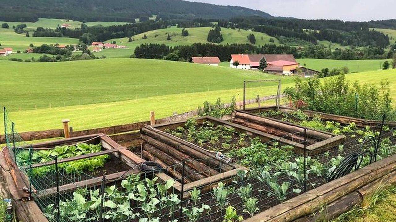 Ganze Ferienwohnung, Ferienwohnung für 4 Personen (45 m²) in Weitnau in Weitnau, Bayerisch Schwaben