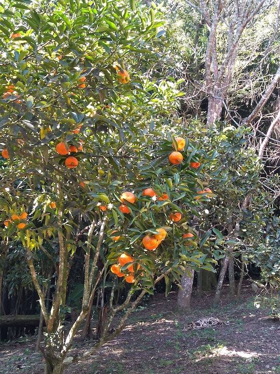 \"Winkel des Friedens\" Farm in Cond. 50 Minuten von Sp geschlossen in Mairinque, São Paulo (Bundesstaat)