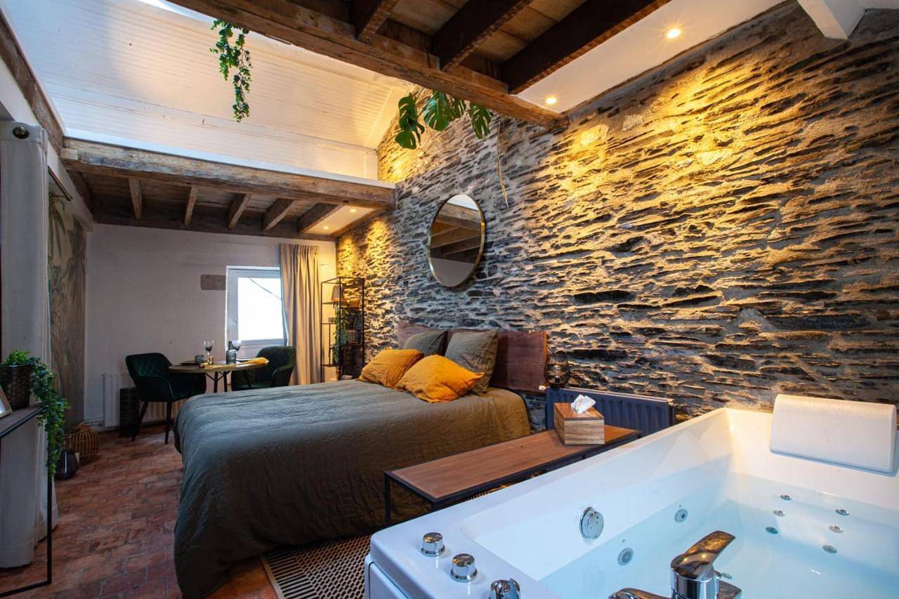 Double Room with Spa Bath in Angers, Région d'Angers