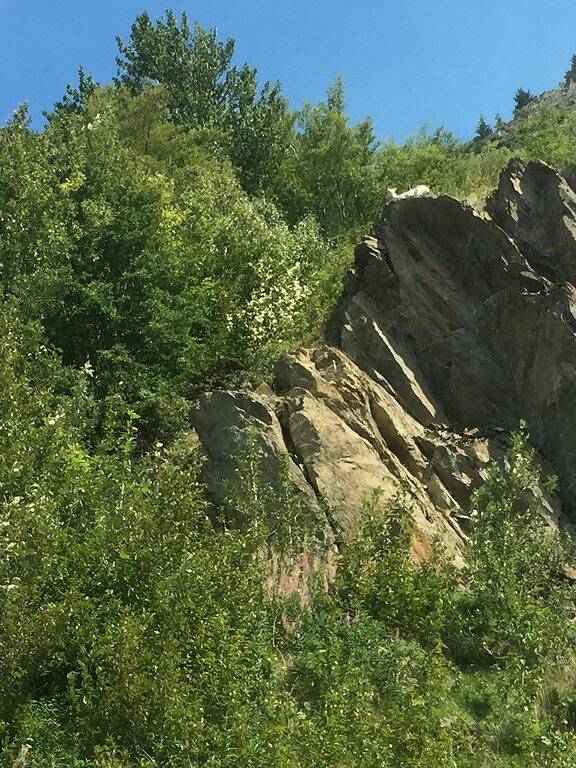 Ganze Wohnung, Kundenspezifisches Blockhaus in Girdwood, Alaska in Girdwood, Anchorage