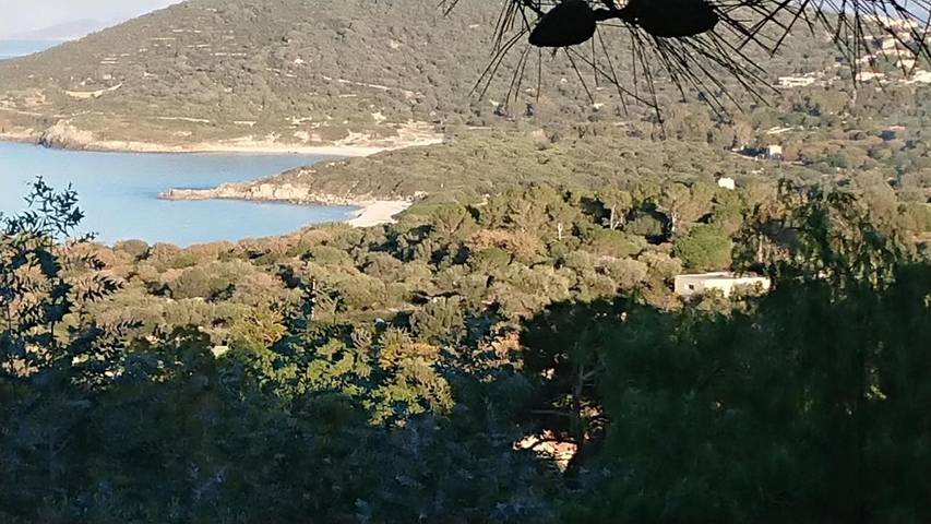 Villa pour 6 personnes, avec vue et jardin à Corbara