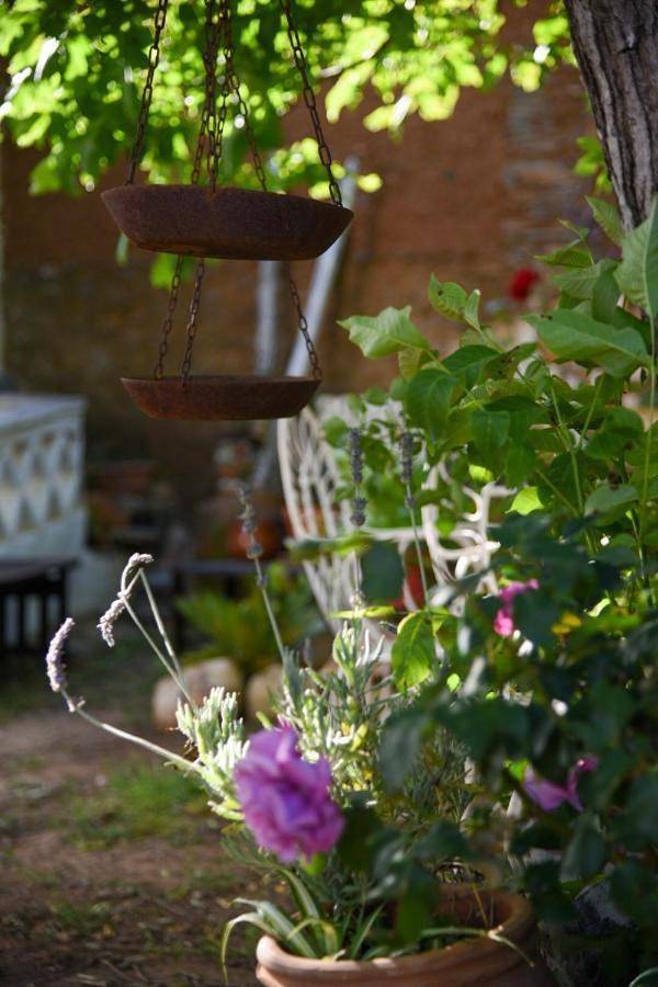 Casa rural para 20 personas, con Terraza y Jardín en Jabuguillo - 3