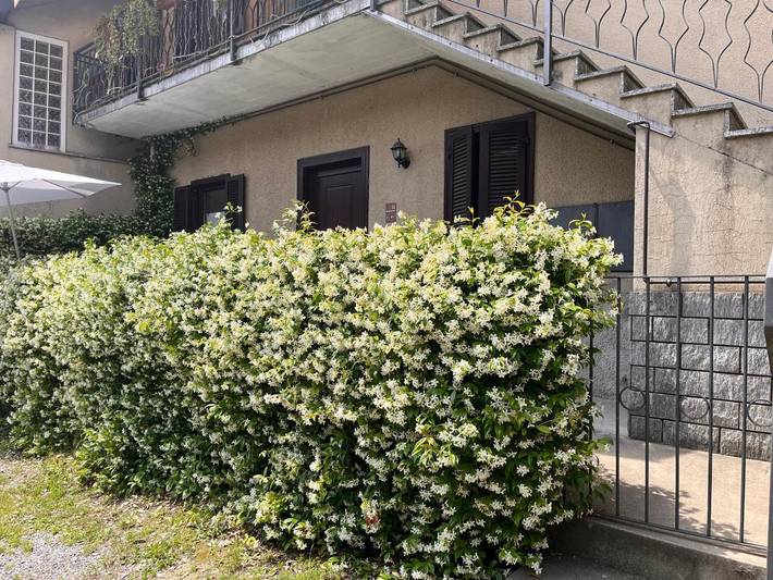 Chambre d’hôte pour 2 personnes, avec jardin à Côme - 3