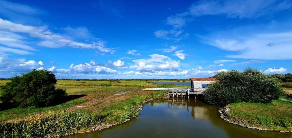 Maison de campagne pour 4 personnes, avec piscine ainsi que vue et jardin à Bois-de-Céné - 2