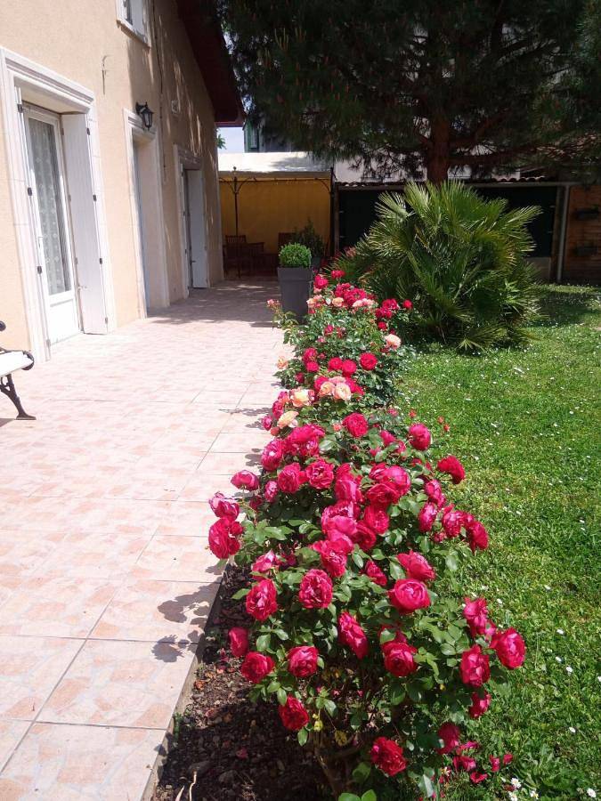 Location de vacances pour 5 personnes, avec jardin, adapté aux familles à Bergerac - 4