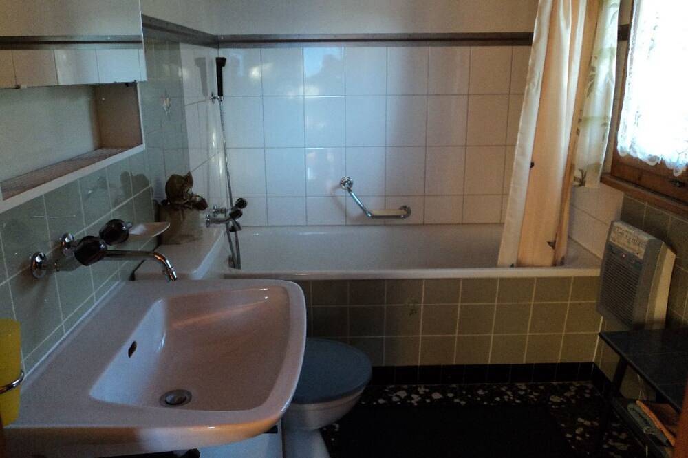 Ganze Wohnung, Casa Soldanella Nadig, Sumvitg, (Sumvitg). in Sumvitg, Alpenarena