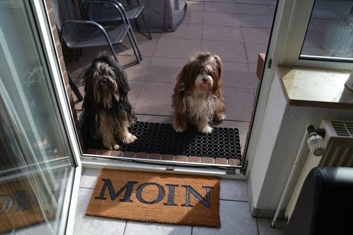 Ferienhaus für 5 Personen, mit Terrasse und Garten, mit Haustier in Sahlenburg - 3