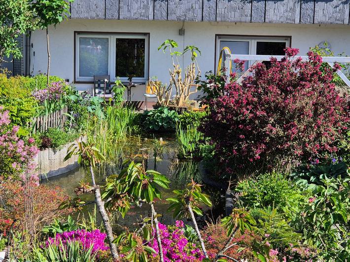 Ganze Wohnung, Ferienwohnung 'Haus  Maria' mit Bergblick, Gemeinschaftsterrasse und WLAN in Olsberg, Hochsauerlandkreis