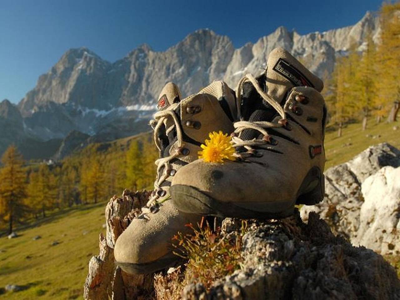 Zeiserhof - Doppelzimmer mit Dusche, Wc in Dachsteingebirge, Ramsau am Dachstein