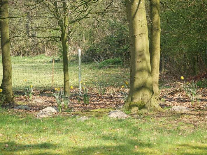 Fewo Dingdener Heide in Hamminkeln, Naturpark Hohe Mark - Westmünsterland