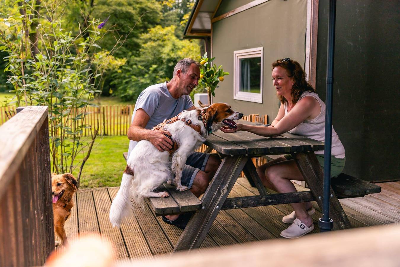 Europarcs Ruinen — Dog Lodge 6 in Ruinen, Nationalpark Dwingelderveld