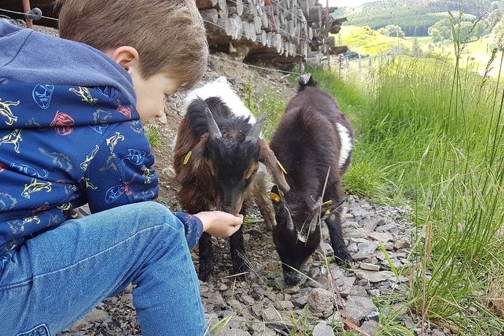 Ferienhaus für 5 Personen, mit Whirlpool und Garten sowie Sauna in Sundern - 3