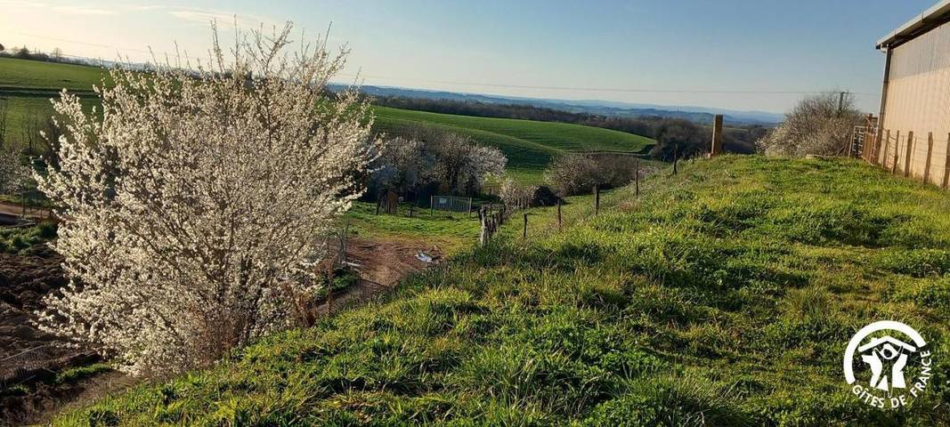 Location de vacances pour 9 personnes, avec jardin à Fauch - 3