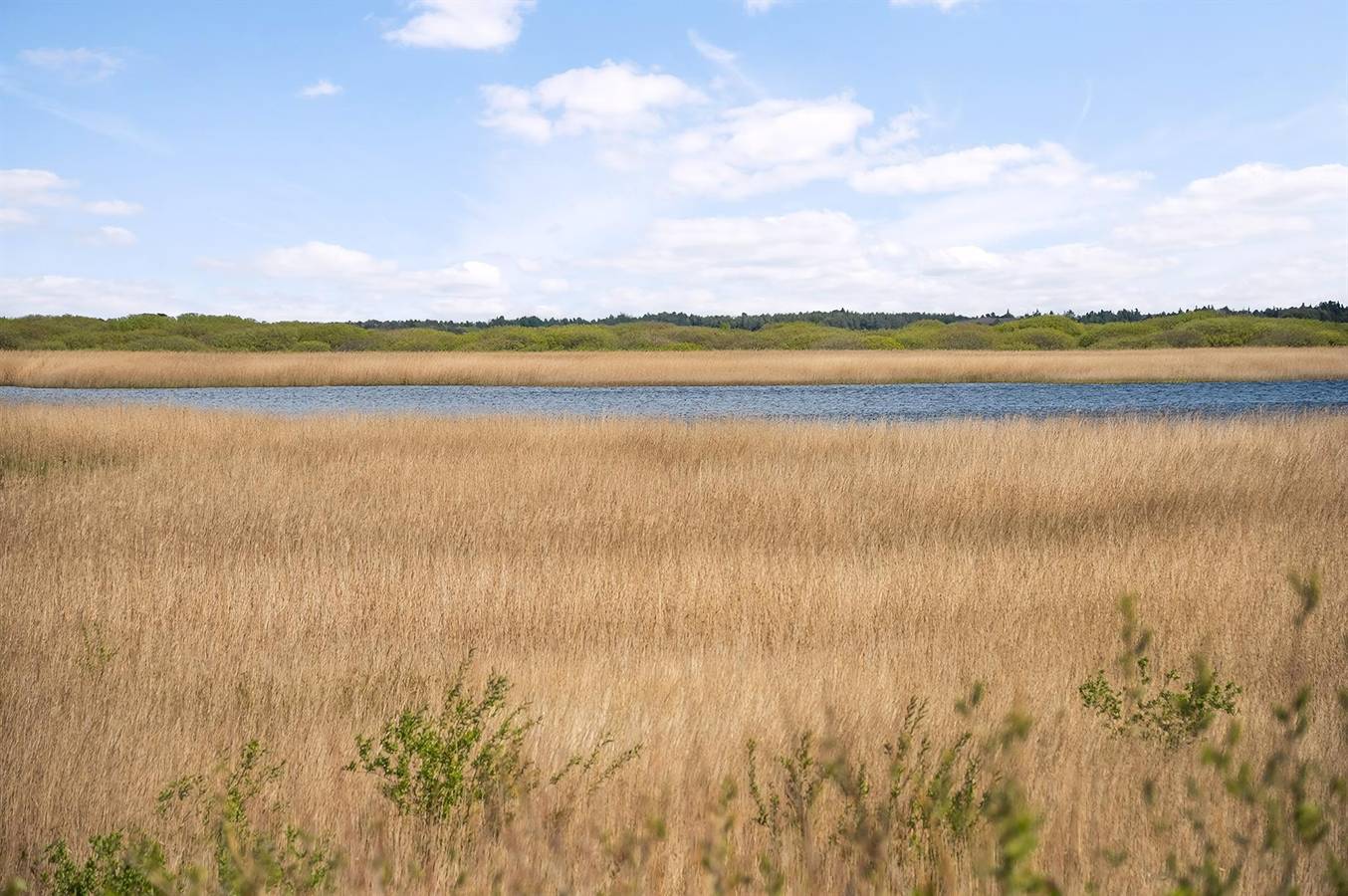 Nice home in Rømø w/ 3 Bedrooms, Sauna and Wifi in Lakolk, Rømø