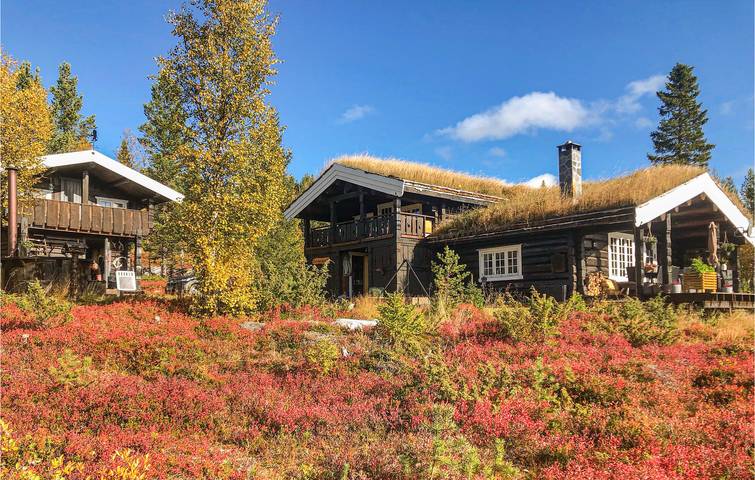Feriehus for 8 personer i Jotunheimen