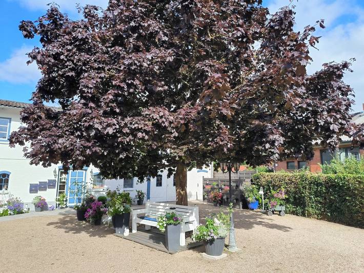 Ganze Ferienwohnung, Wiesengrund: gepflegte und gemütlich FeWo mit Garten - FeWo im Wiesengrund in Tarp, Grünes Binnenland