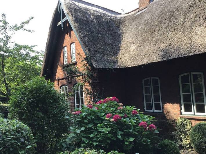 Ferienwohnung mit 2 Schlafzimmer in Schönwalde am Bungsberg, Ostholstein